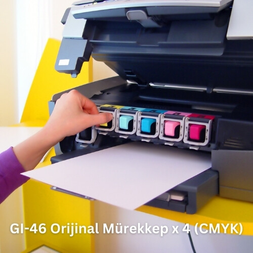 GI-46 Orijinal Mürekkep Set- Kesintisiz ve Kaliteli Baskılar